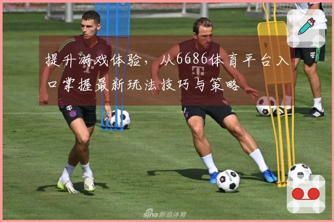 提升游戏体验，从6686体育平台入口掌握最新玩法技巧与策略